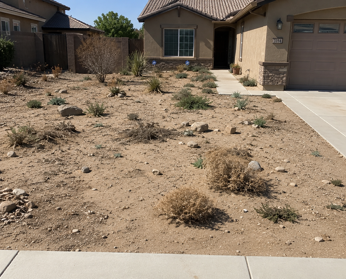 Yard before xeriscape conversion